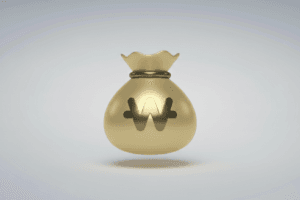 자금 제공 방식에서 투자와 대여의 법적·경제적 차이를 비교해 설명하는 이미지