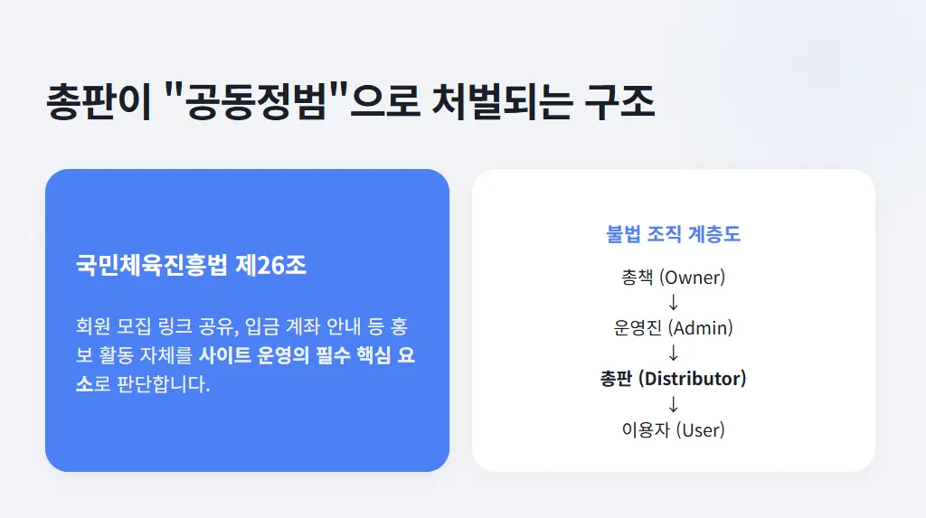 총판 처벌 구조