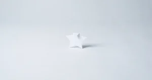 옅은 회색 배경 한가운데에 흰 종이로 오린 별 하나가 서 있고 꼭짓점 하나가 접혀 있는 표지 이미지